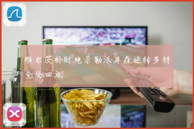 维尔茨补时绝杀勒沃库森逆转多特全场回放