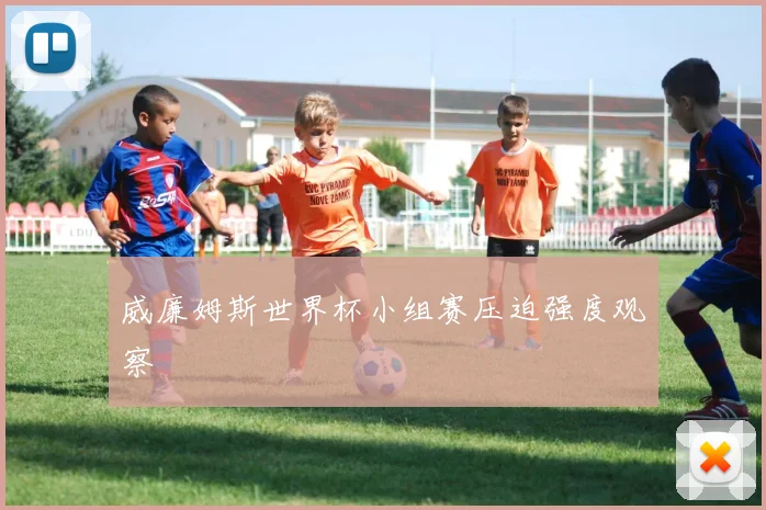 威廉姆斯世界杯小组赛压迫强度观察