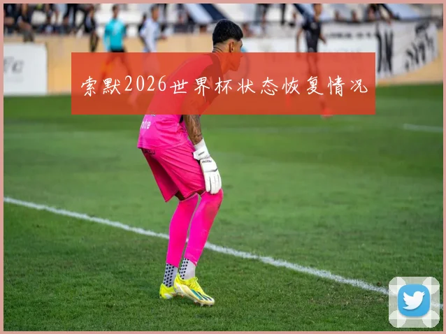 索默2026世界杯状态恢复情况