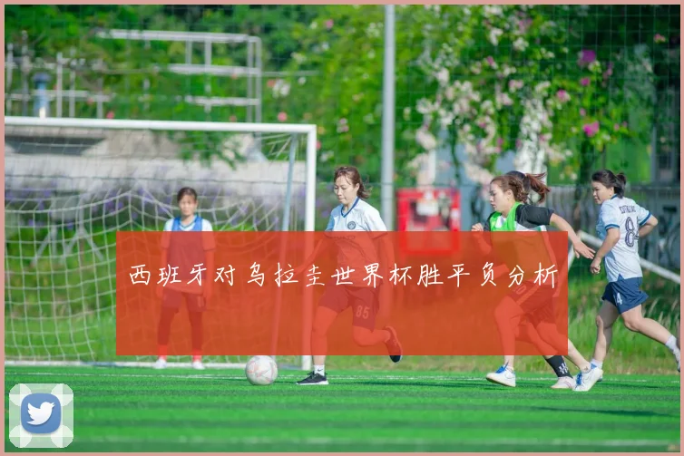 西班牙对乌拉圭世界杯胜平负分析