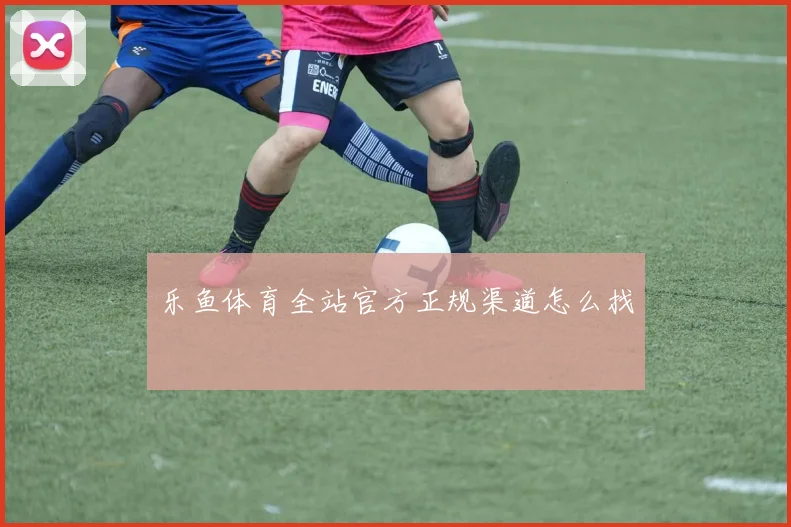 乐鱼体育全站官方正规渠道怎么找