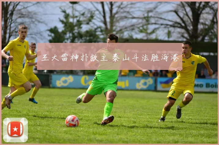 王大雷神扑救主 泰山斗法胜海港