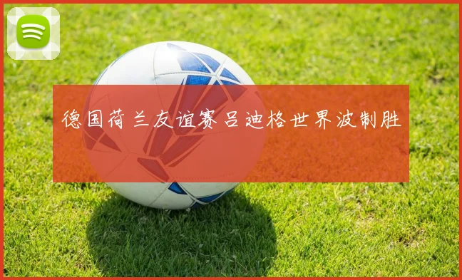 德国荷兰友谊赛吕迪格世界波制胜