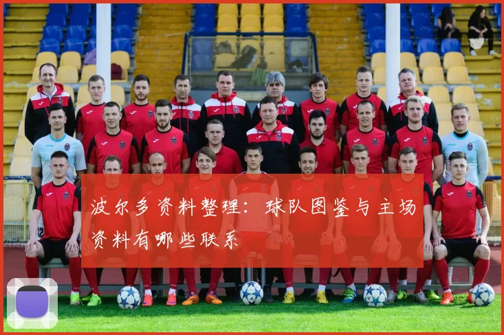 波尔多资料整理:球队图鉴与主场资料有哪些联系