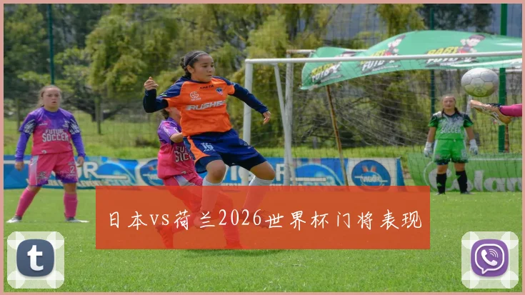 日本vs荷兰2026世界杯门将表现