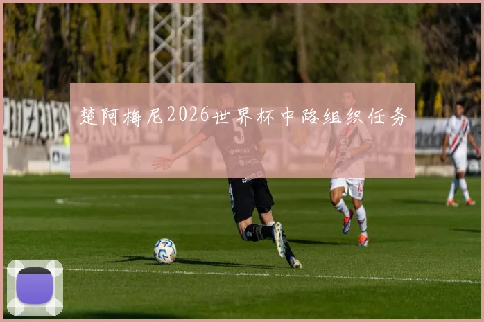 楚阿梅尼2026世界杯中路组织任务
